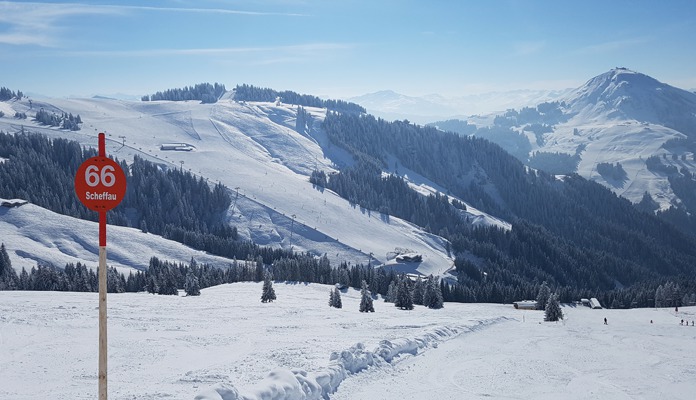 Ook in de krokusvakantie 2025 kun je in skigebied Scheffau nog rustige pistes vinden. © WintersportOostenrijkGids.nl