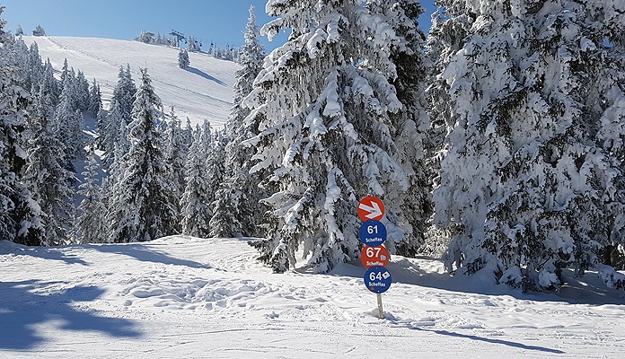 Vanuit Ellmau heb je via de pistes van Scheffau een perfecte verbinding met de rest van de Skiwelt © WintersportOostenrijkGids.nl