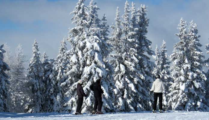 Skigebied Schladming-Dachstein: veelzijdige wintersportregio voor skiërs en langlaufers